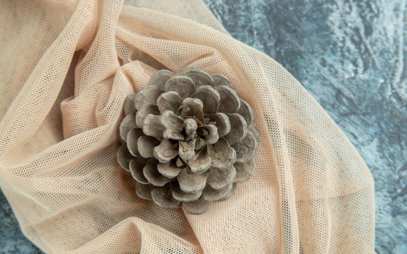 Viscose Georgette